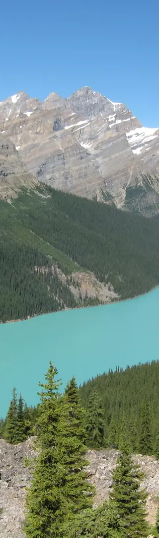 Lake Peyto